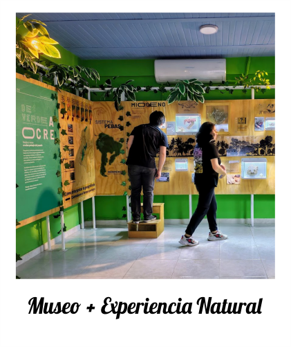 experiencia7