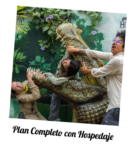 experiencia8