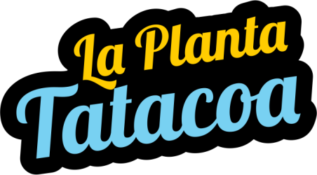 La planta tatacoa, en el desierto de la tatacoa